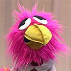Chad the Bird
